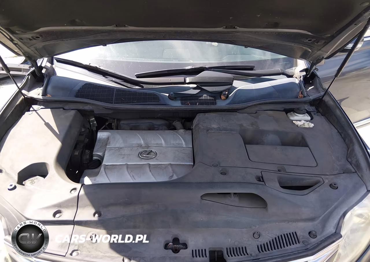 2010 Lexus Rx 350 VIN:2T2BK1BA6AC038074 - 10