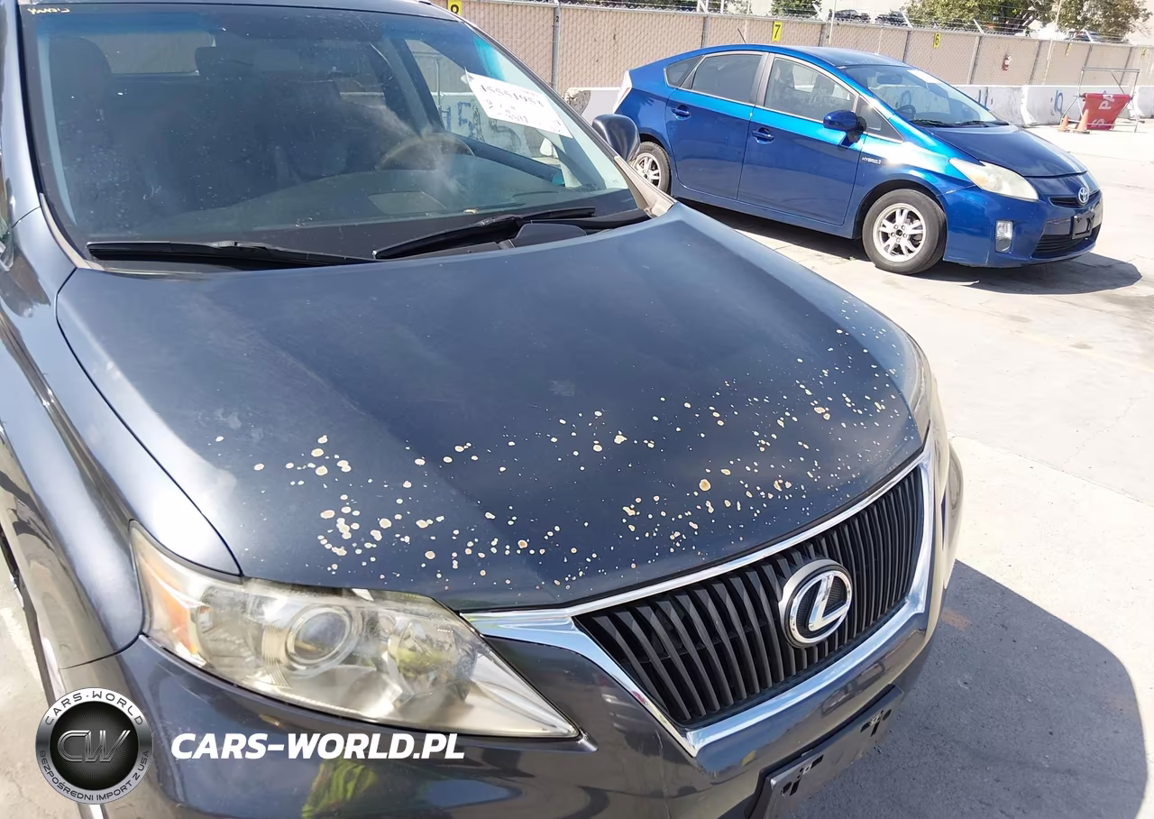 2010 Lexus Rx 350 VIN:2T2BK1BA6AC038074 - 18