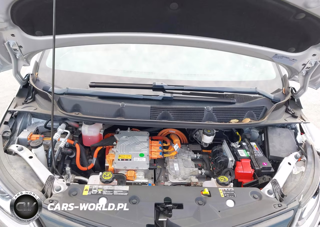 2017 Chevrolet Bolt Ev Premier VIN:1G1FX6S0XH4180350 - 10