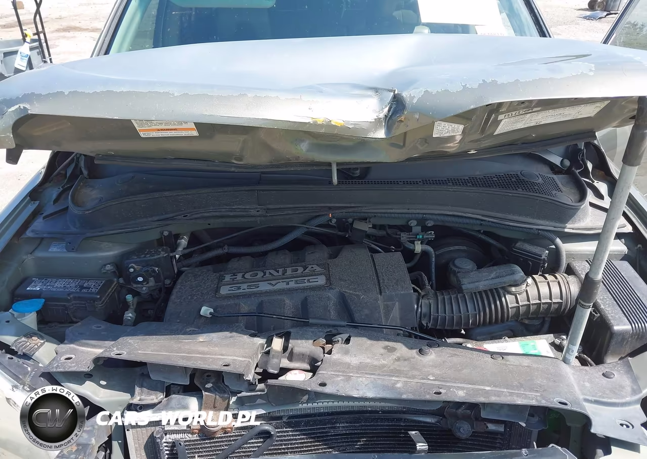 2007 Honda Pilot Ex-L VIN:2HKYF18767H501755 - 10