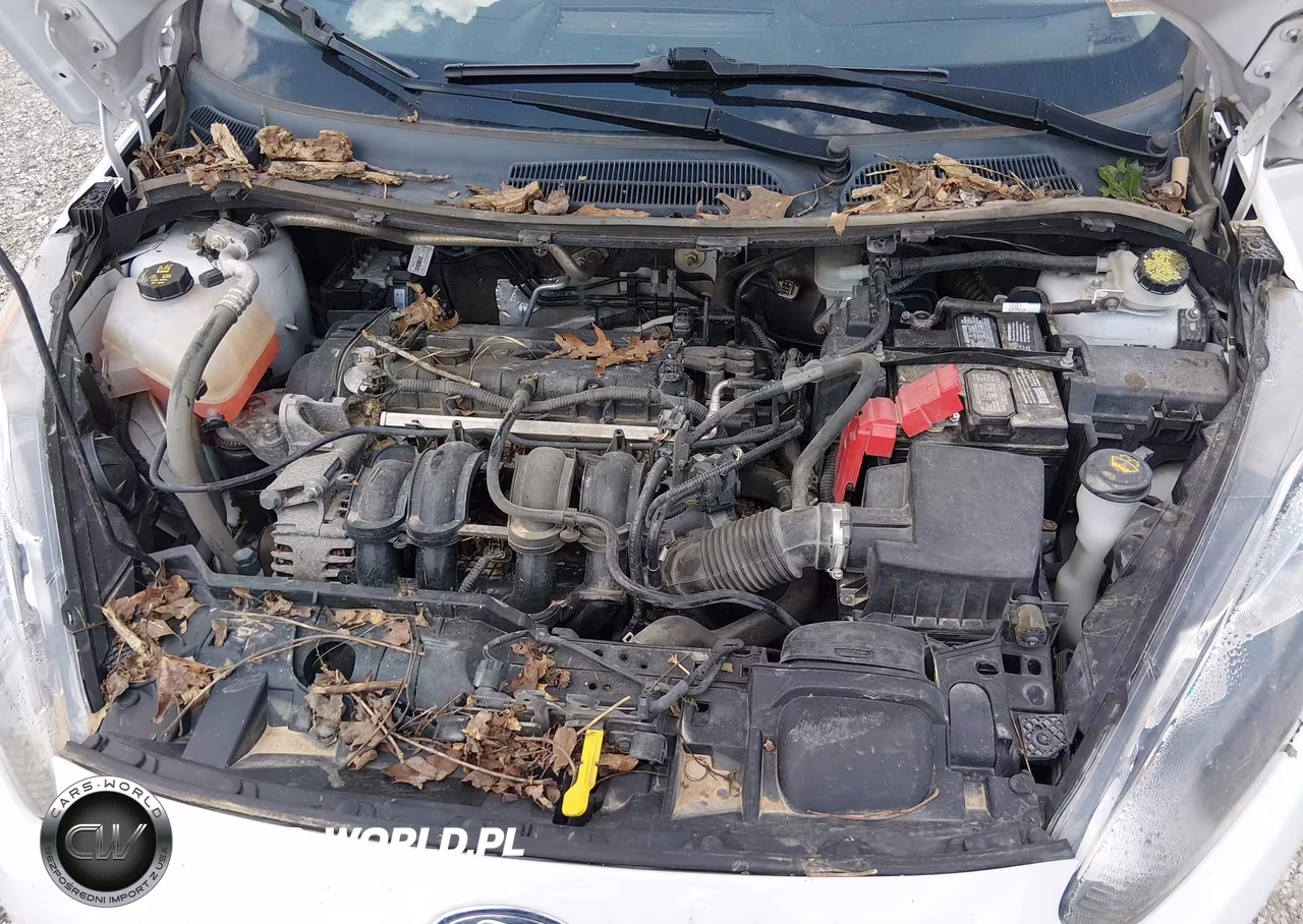 2019 Ford Fiesta Se VIN:3FADP4EJ9KM113618 - 10
