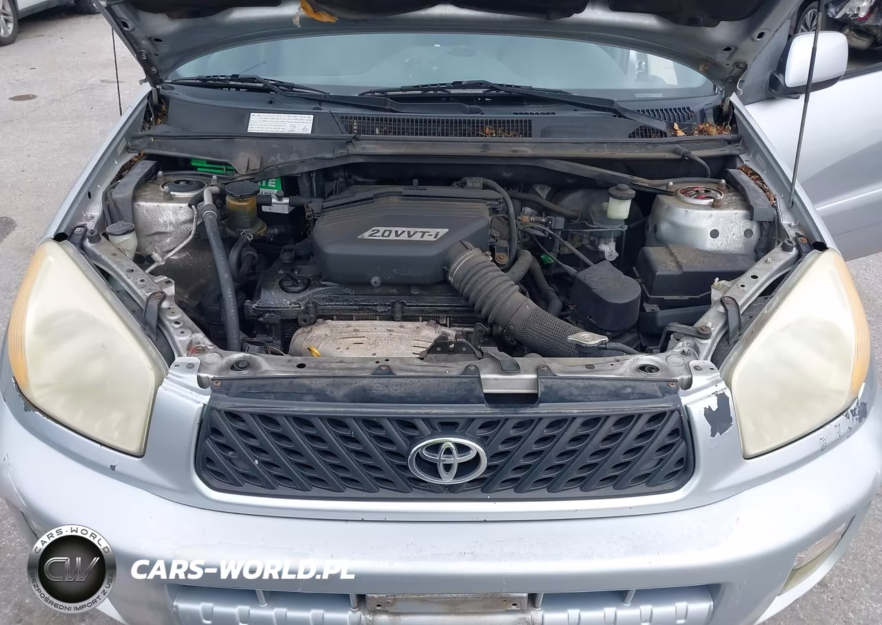 2003 Toyota Rav4 VIN:JTEHH20V036087799 - 10