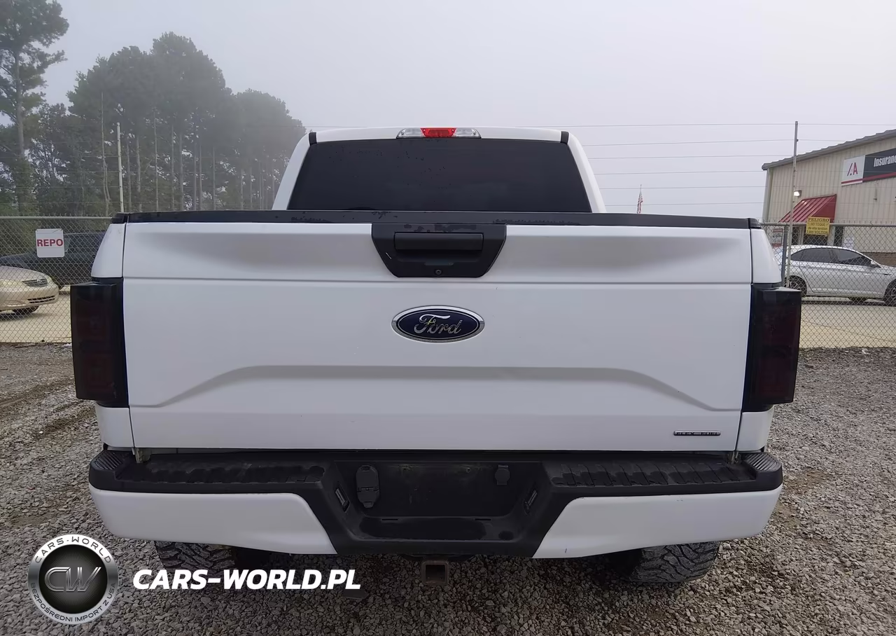 2019 Ford F-150 King Ranch-Lariat-Platinum-Xl-Xlt VIN:1FTEW1E5XKFA50547 - 16