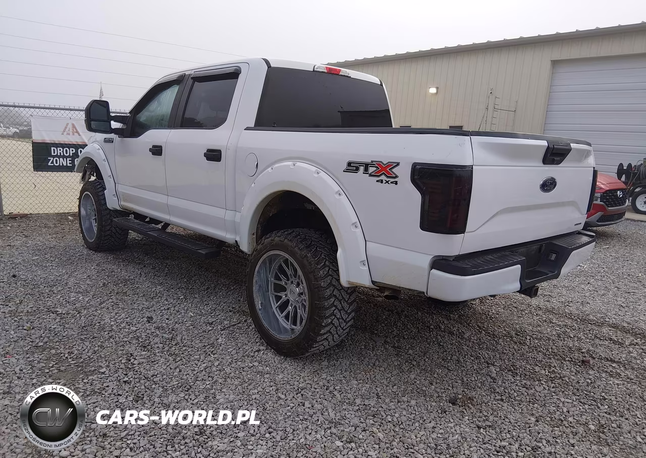 2019 Ford F-150 King Ranch-Lariat-Platinum-Xl-Xlt VIN:1FTEW1E5XKFA50547 - 3