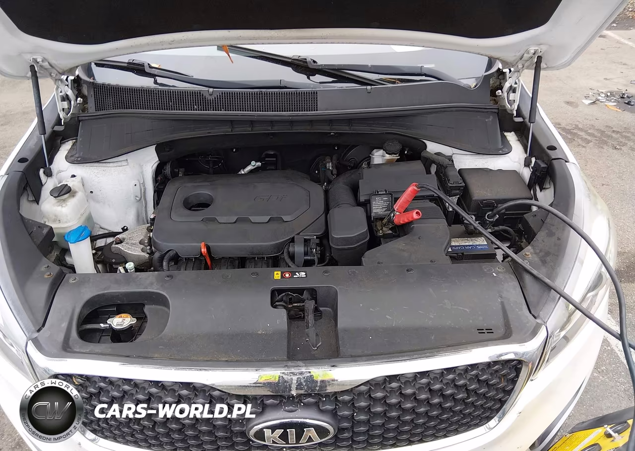 2016 Kia Sorento 2.4L Lx VIN:5XYPG4A32GG126410 - 10