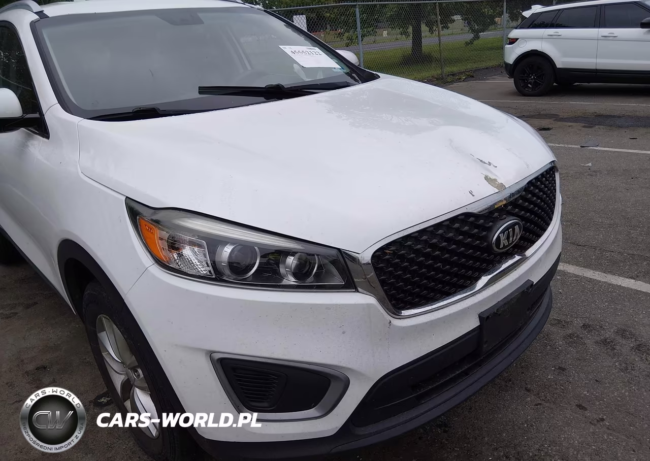 2016 Kia Sorento 2.4L Lx VIN:5XYPG4A32GG126410 - 13