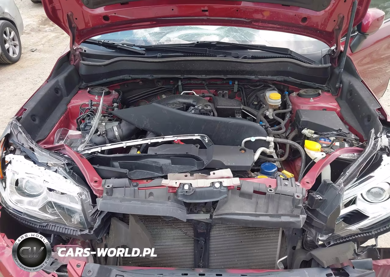 2017 Subaru Forester 2.5I Touring VIN:JF2SJAWC0HH577686 - 10