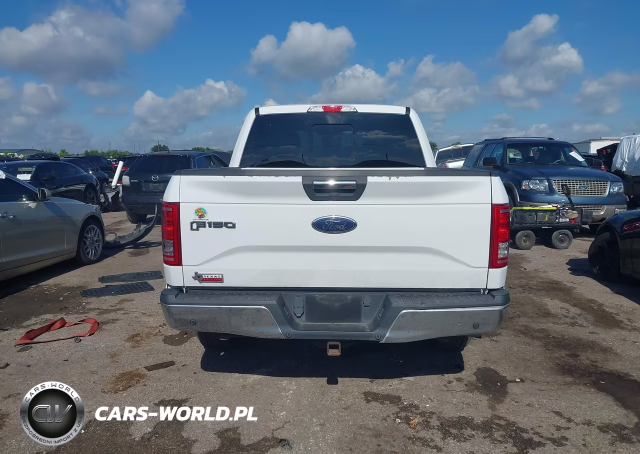 2016 Ford F-150 Xlt VIN:1FTEW1CP8GKF25373 - 16