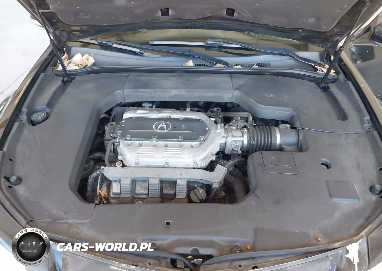 2009 Acura Tl 3.7 VIN:19UUA96569A004648 - 10