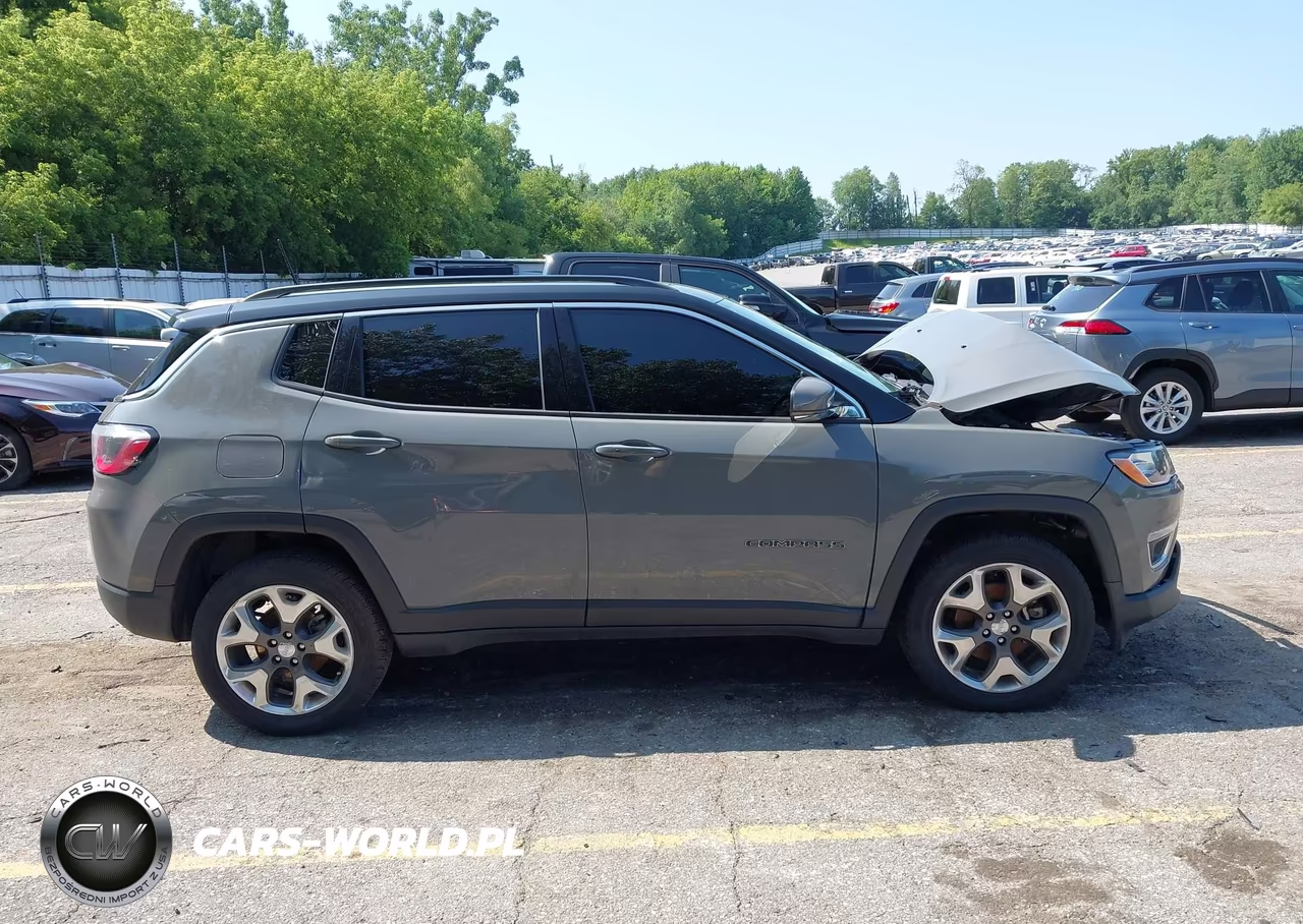 2019 Jeep Compass Limited 4X4 VIN:3C4NJDCBXKT780960 - 13