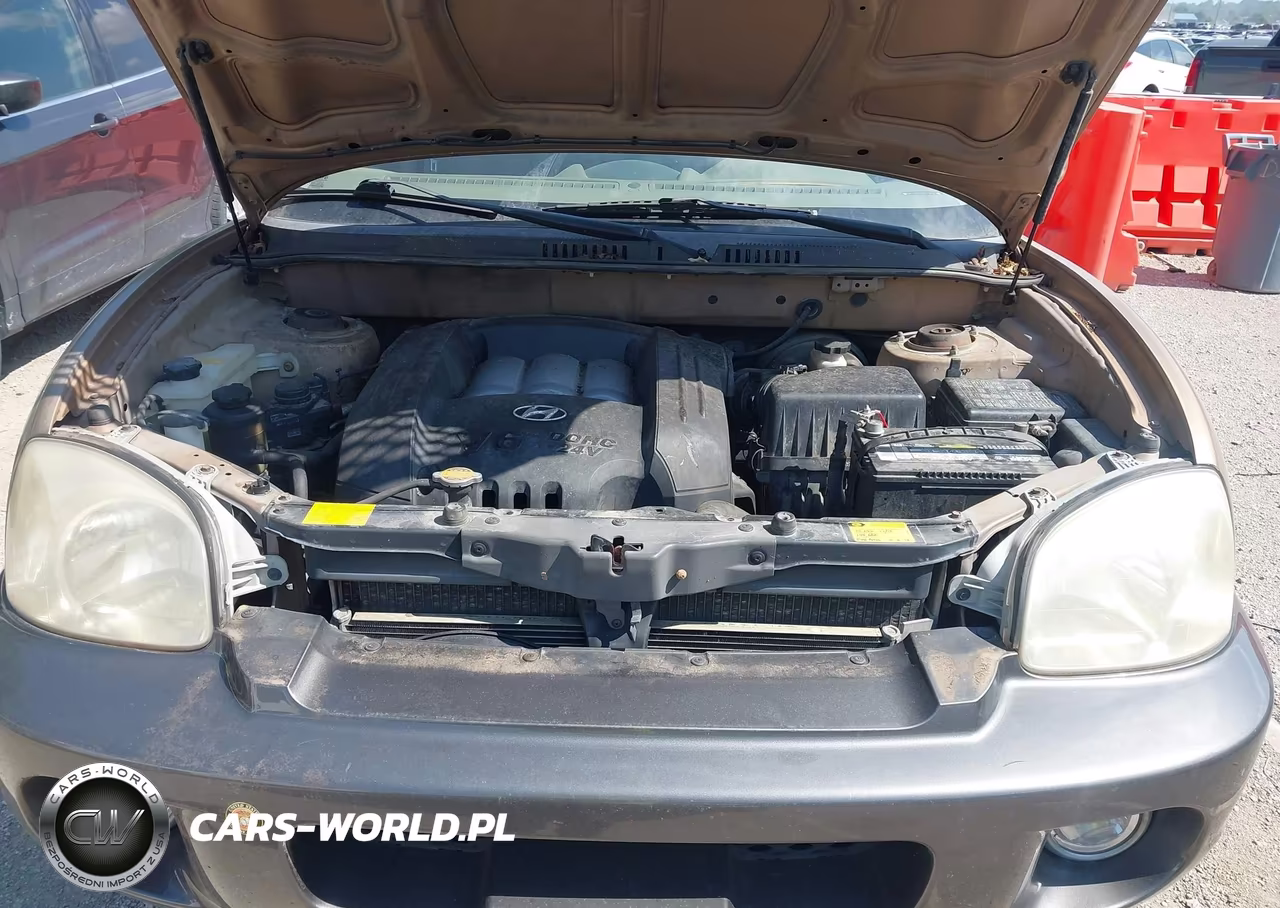 2003 Hyundai Santa Fe Gls-Lx VIN:KM8SC13D83U374000 - 10