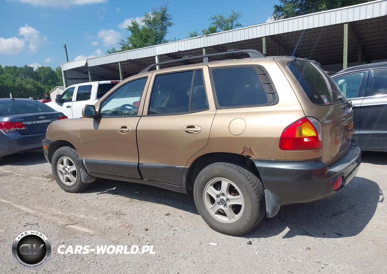 2003 Hyundai Santa Fe Gls-Lx VIN:KM8SC13D83U374000 - 3
