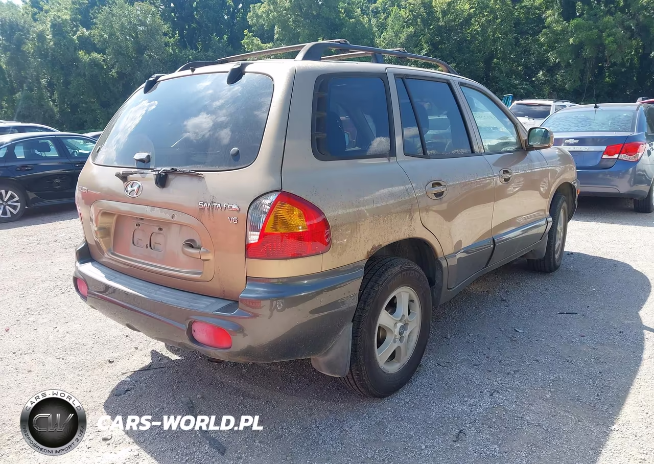 2003 Hyundai Santa Fe Gls-Lx VIN:KM8SC13D83U374000 - 4