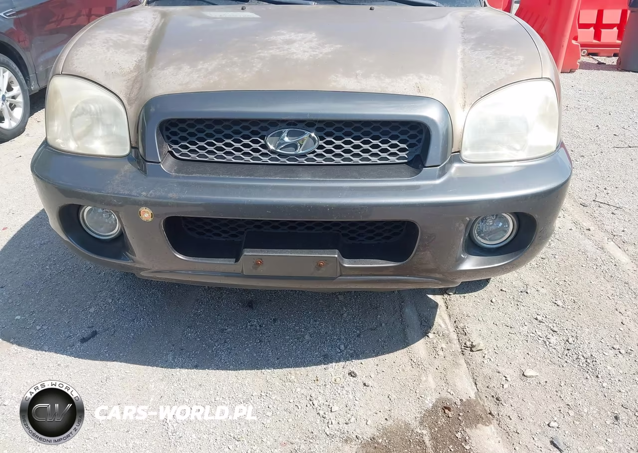 2003 Hyundai Santa Fe Gls-Lx VIN:KM8SC13D83U374000 - 6
