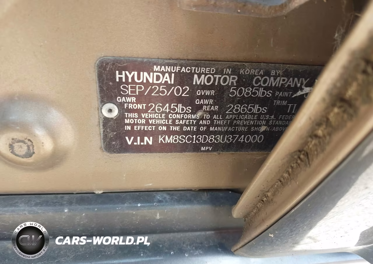 2003 Hyundai Santa Fe Gls-Lx VIN:KM8SC13D83U374000 - 9