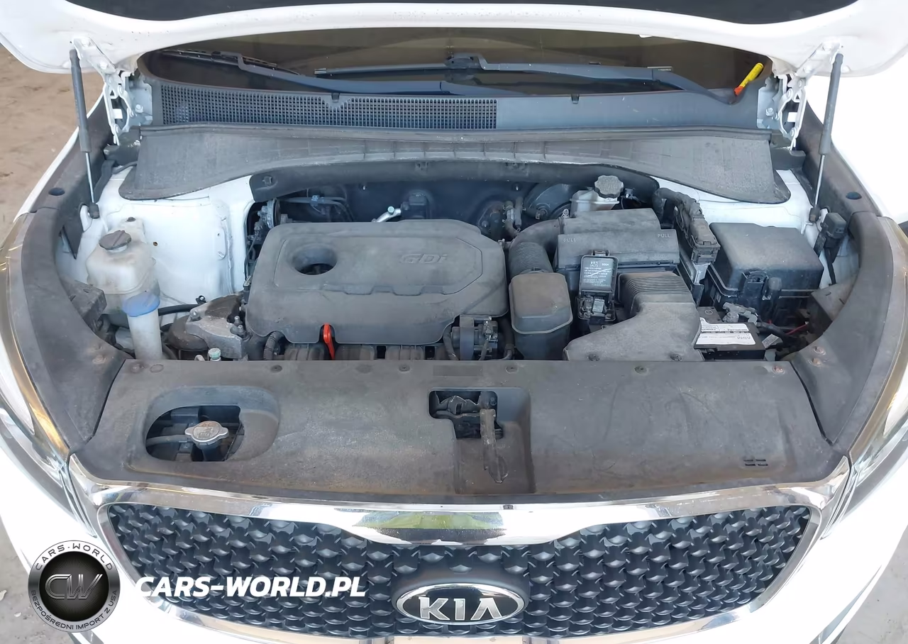 2016 Kia Sorento 2.4L Lx VIN:5XYPGDA38GG039515 - 10