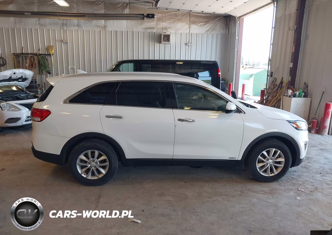 2016 Kia Sorento 2.4L Lx VIN:5XYPGDA38GG039515 - 13