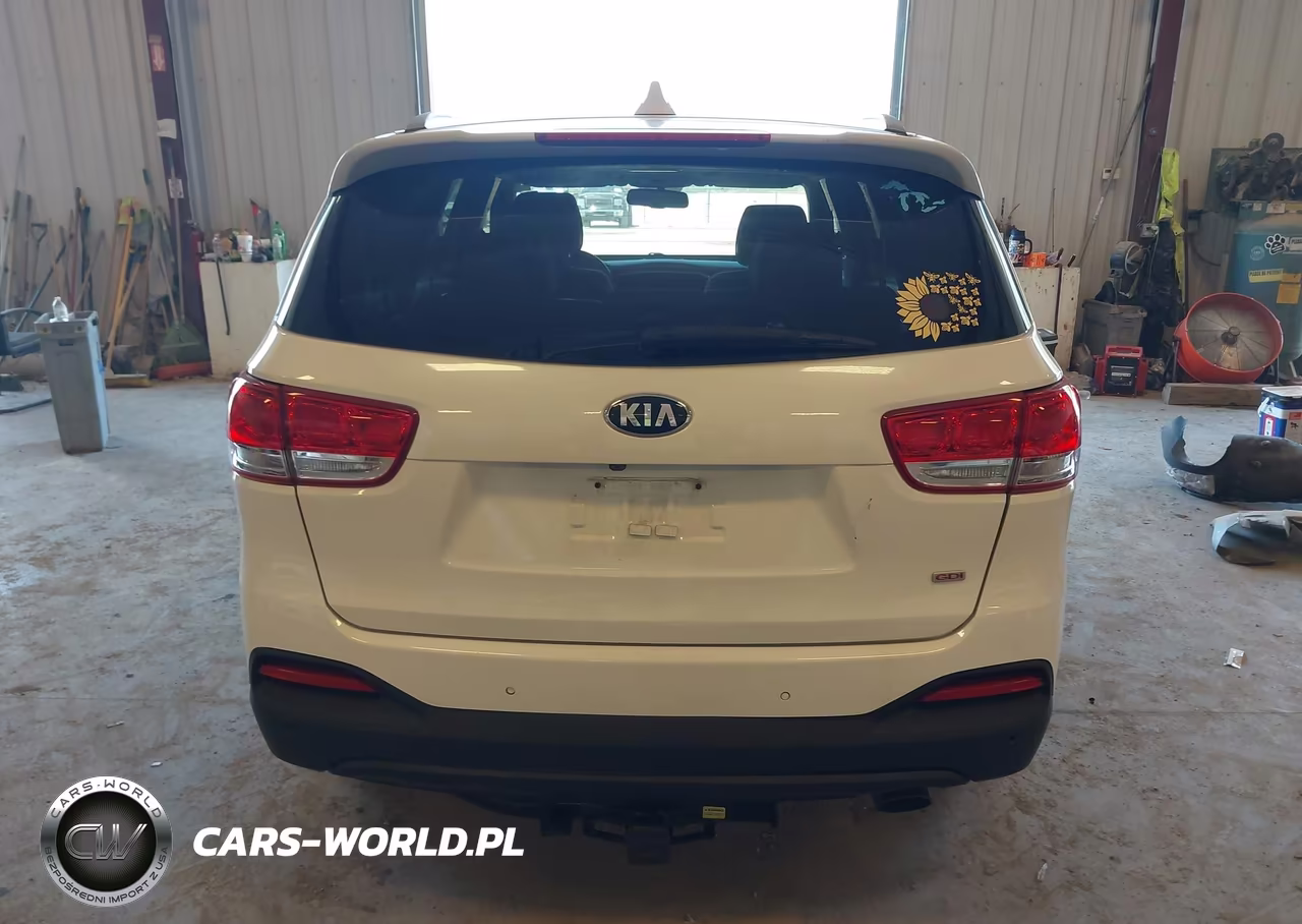 2016 Kia Sorento 2.4L Lx VIN:5XYPGDA38GG039515 - 16