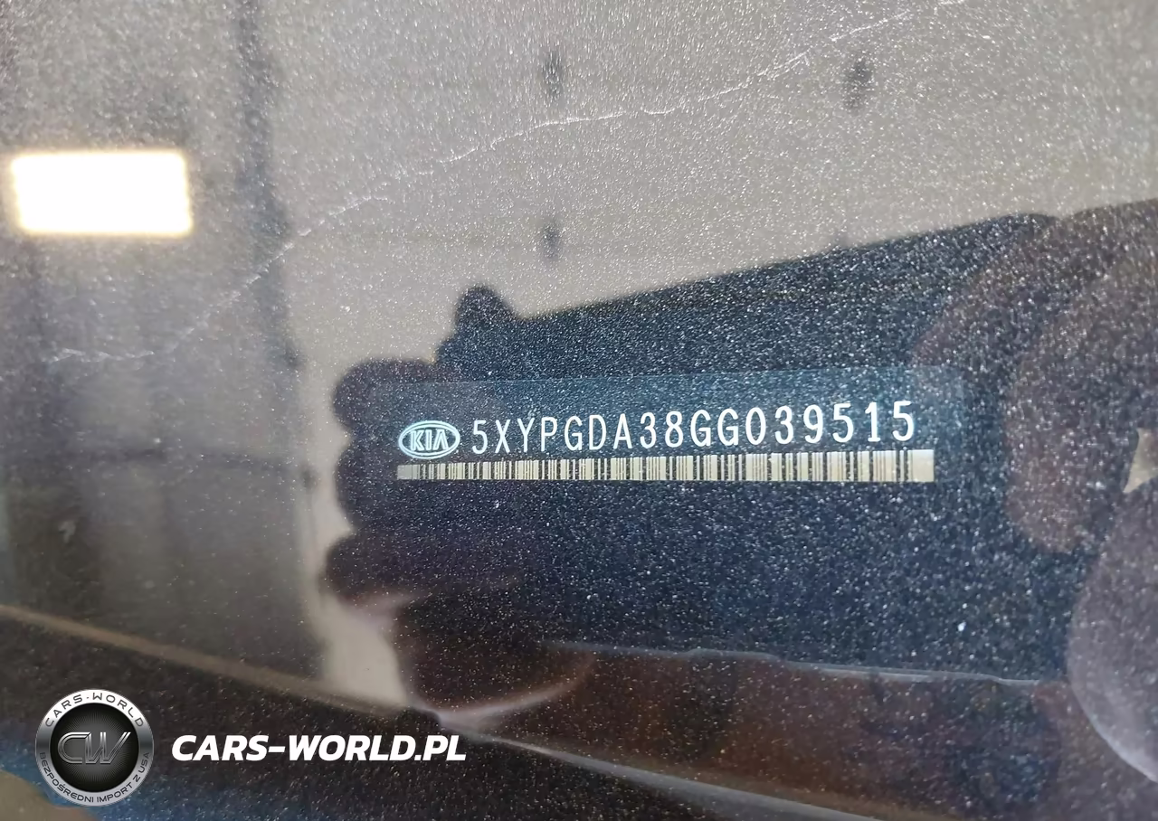 2016 Kia Sorento 2.4L Lx VIN:5XYPGDA38GG039515 - 9