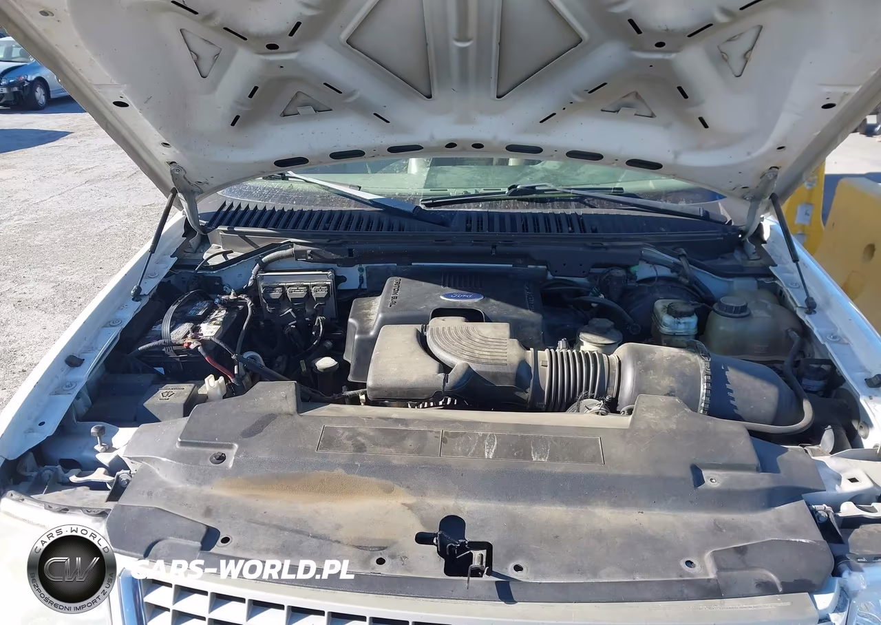 2003 Ford Expedition Eddie Bauer VIN:1FMFU18L63LC04819 - 10
