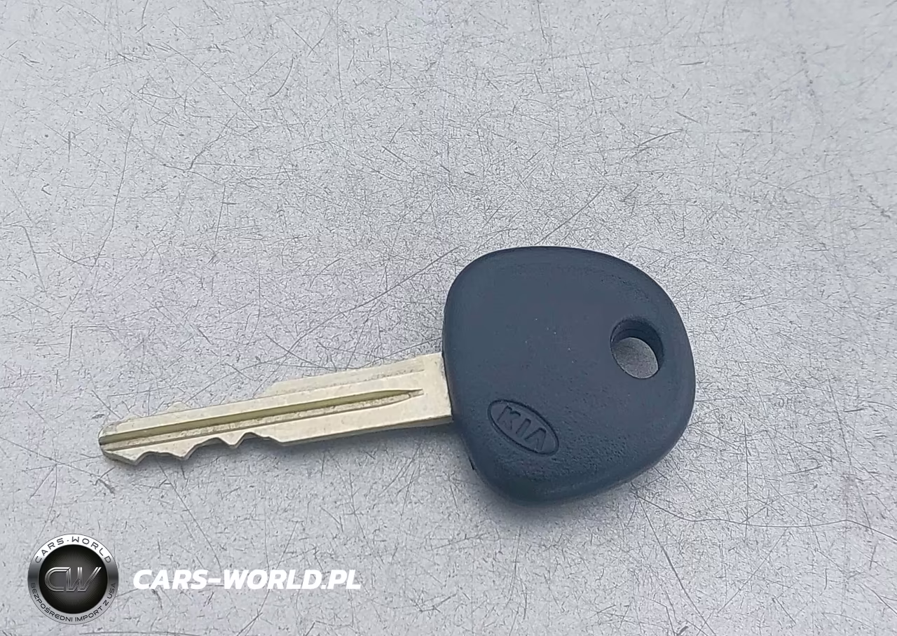 2016 Kia Forte Lx VIN:KNAFK4A64G5496171 - 11