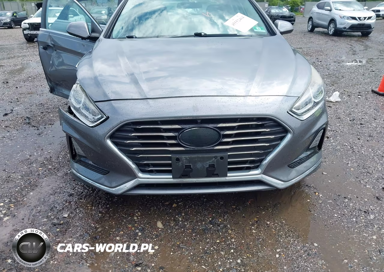 2018 Hyundai Sonata Se VIN:5NPE24AF6JH694983 - 12