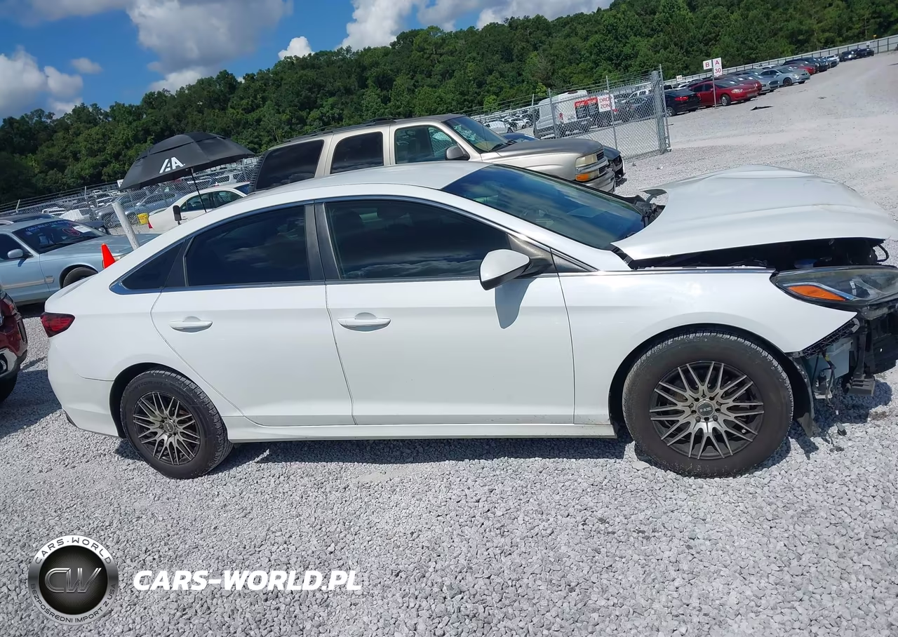 2018 Hyundai Sonata Se VIN:5NPE24AF9JH620117 - 13