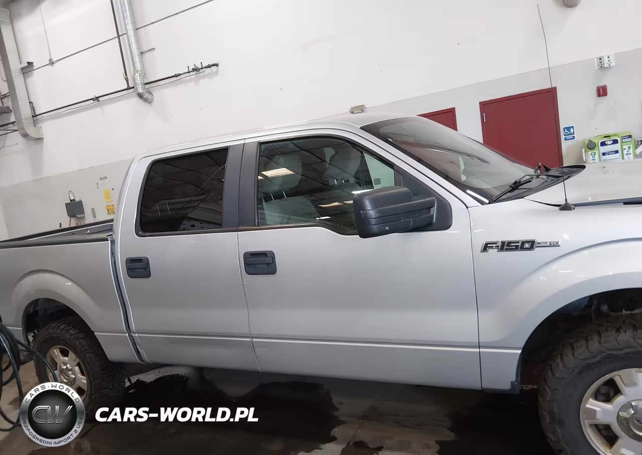 2009 Ford F-150 Xl-Xlt VIN:1FTRW14889FB05049 - 13