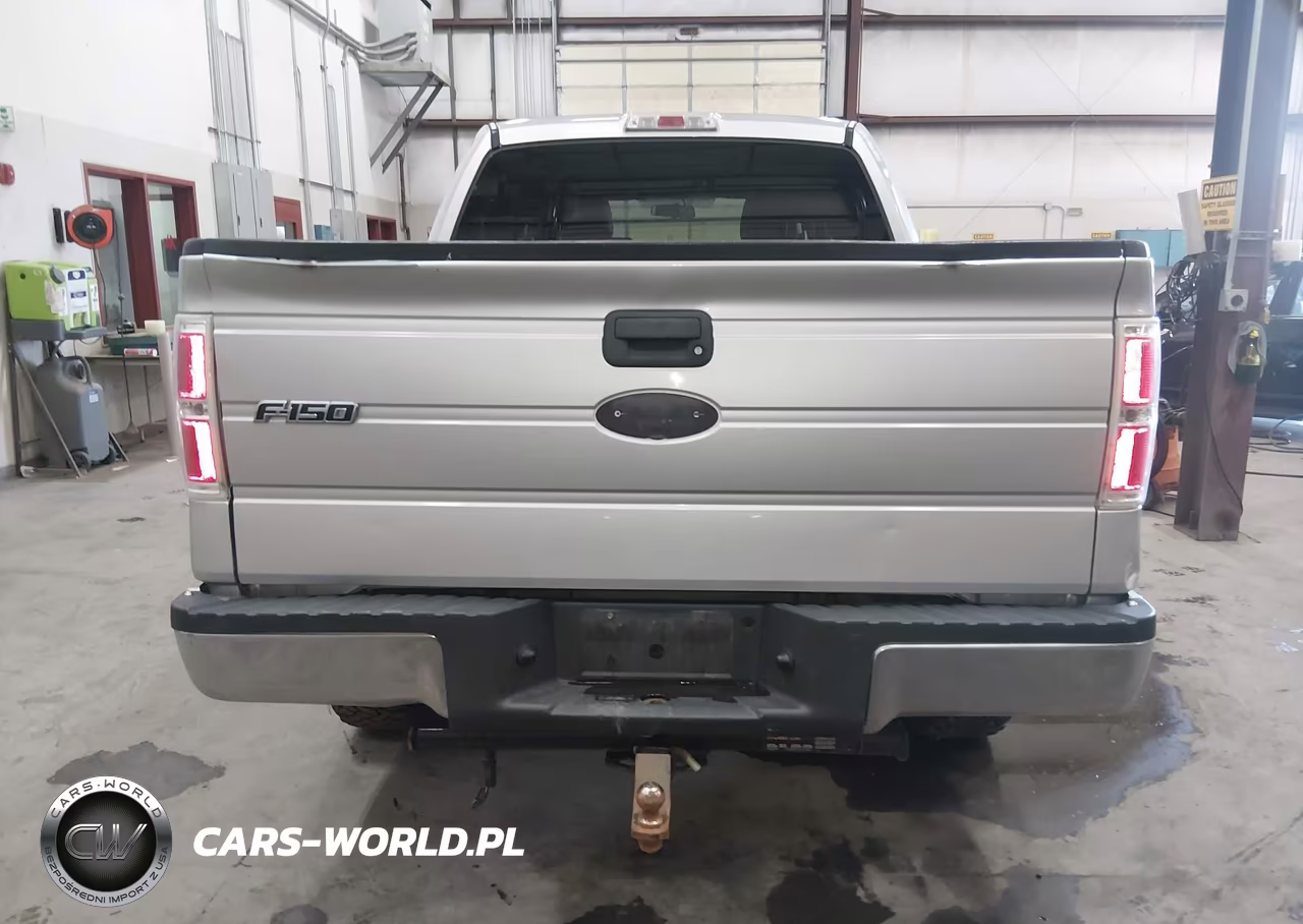2009 Ford F-150 Xl-Xlt VIN:1FTRW14889FB05049 - 16