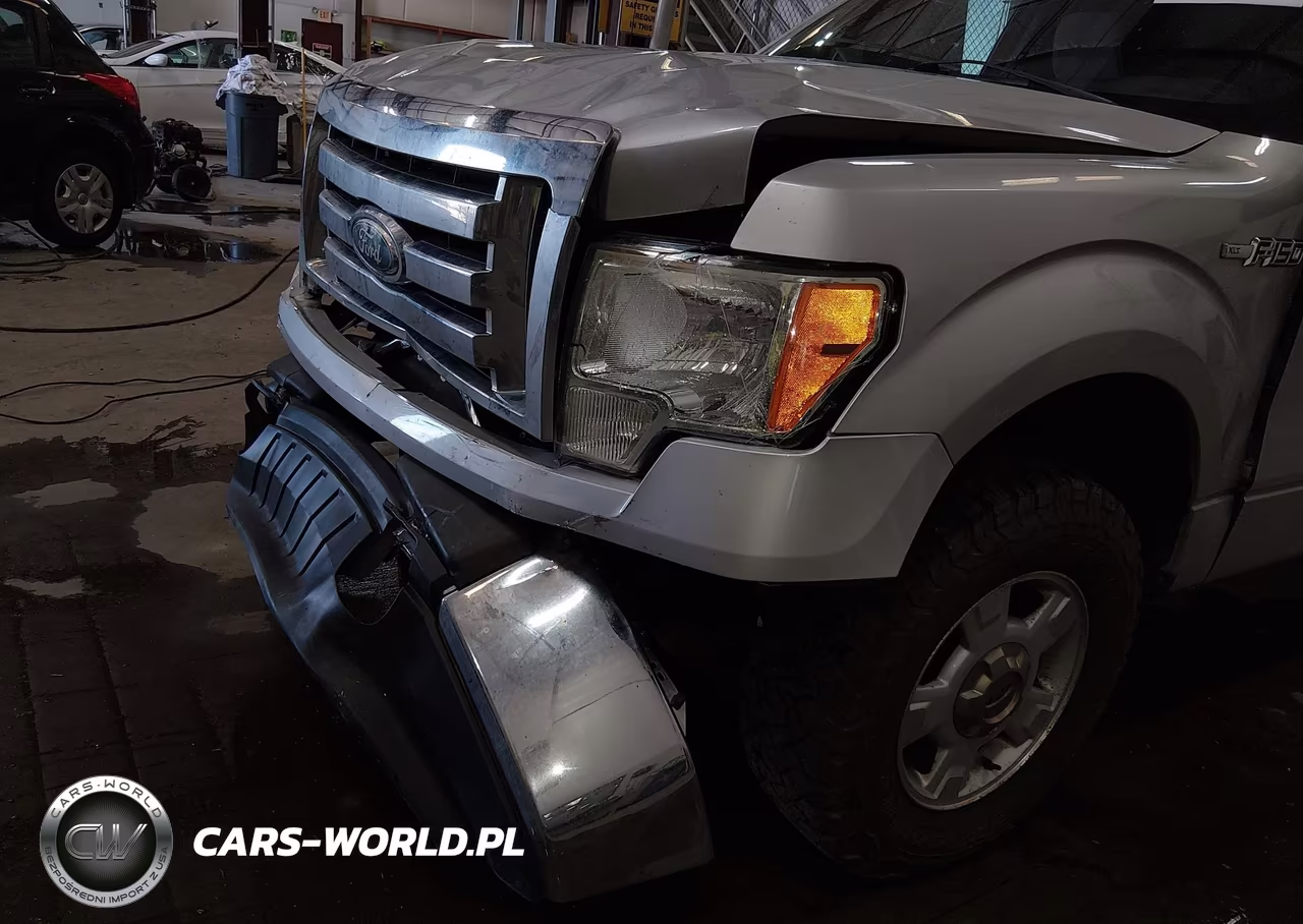 2009 Ford F-150 Xl-Xlt VIN:1FTRW14889FB05049 - 18