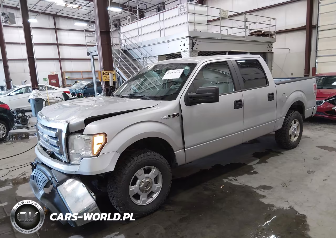 2009 Ford F-150 Xl-Xlt VIN:1FTRW14889FB05049 - 2