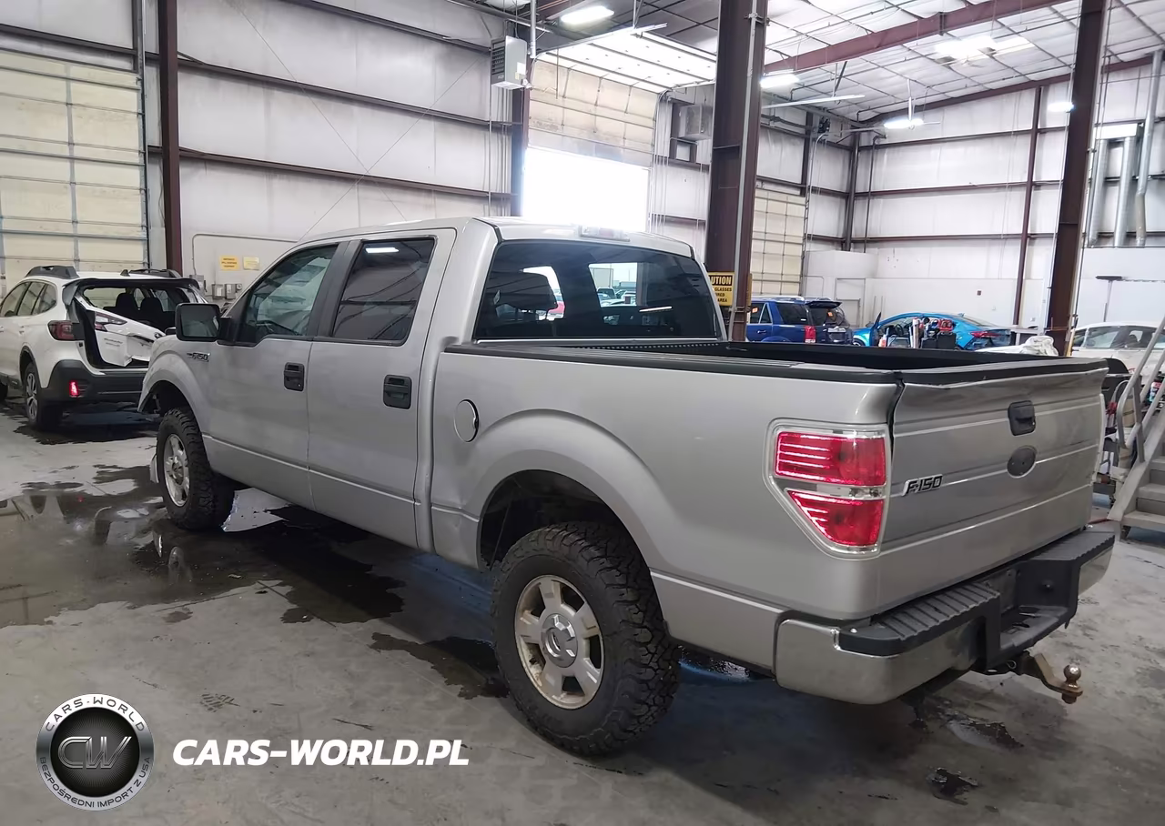 2009 Ford F-150 Xl-Xlt VIN:1FTRW14889FB05049 - 3