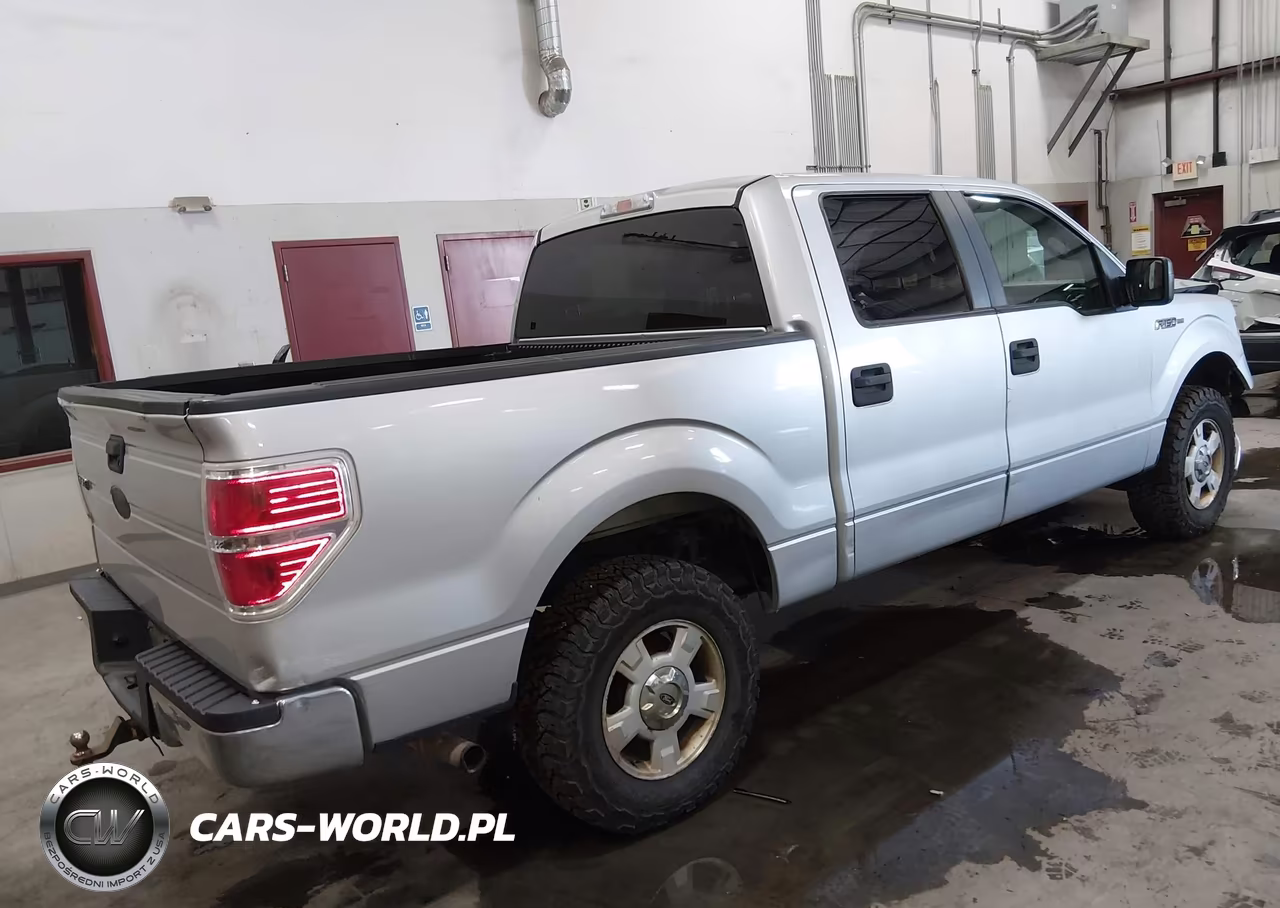 2009 Ford F-150 Xl-Xlt VIN:1FTRW14889FB05049 - 4