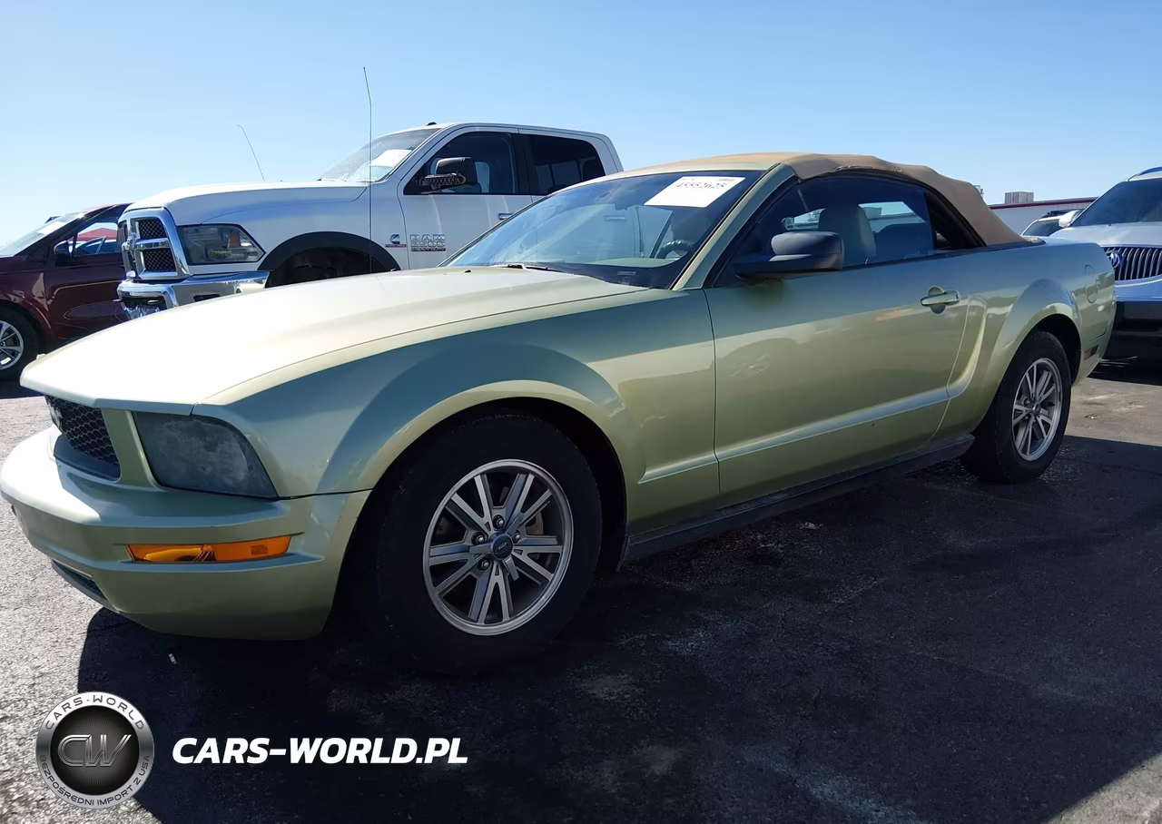 2005 Ford Mustang VIN:1ZVHT84N255226756 - 2
