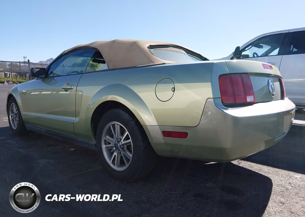 2005 Ford Mustang VIN:1ZVHT84N255226756 - 3
