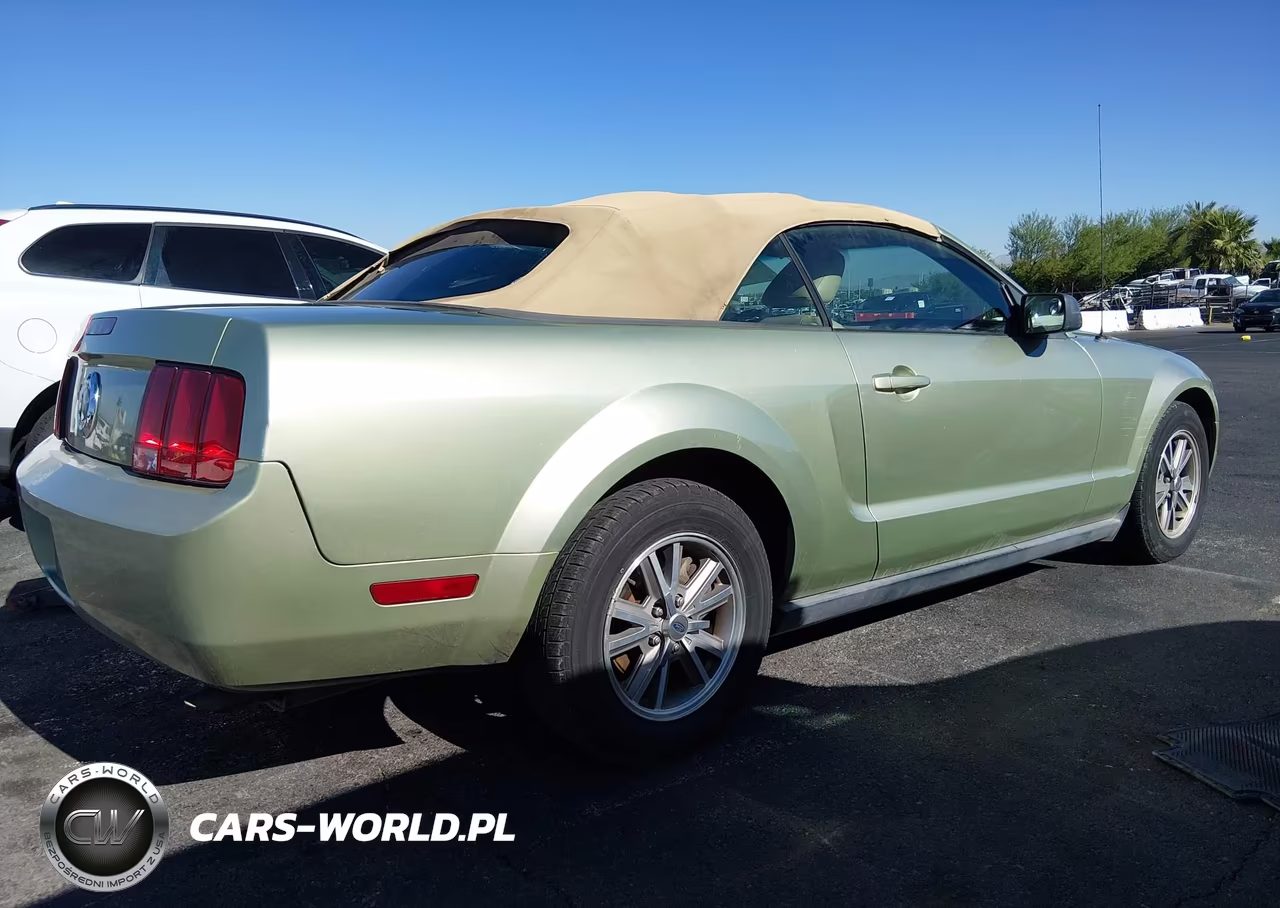 2005 Ford Mustang VIN:1ZVHT84N255226756 - 4