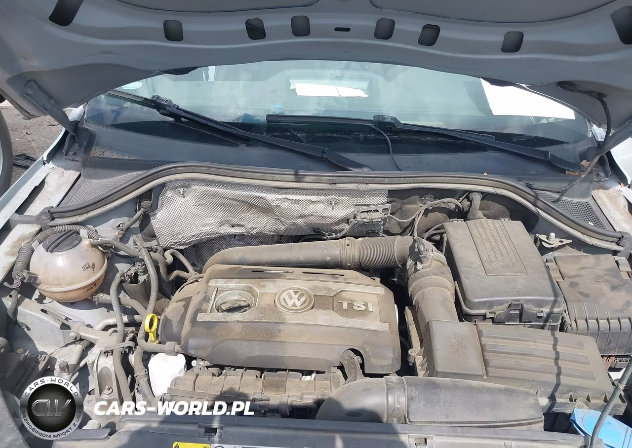 2014 Volkswagen Tiguan S VIN:WVGAV3AX0EW602027 - 10