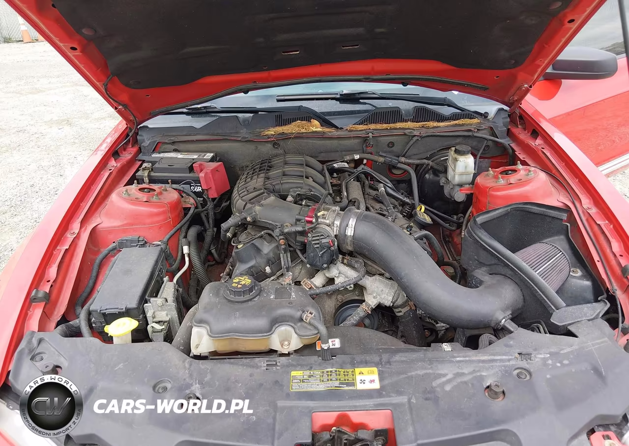 2012 Ford Mustang V6-V6 Premium VIN:1ZVBP8AM3C5206244 - 10