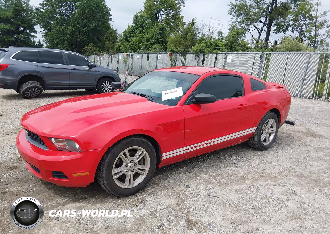 2012 Ford Mustang V6-V6 Premium VIN:1ZVBP8AM3C5206244 - 2
