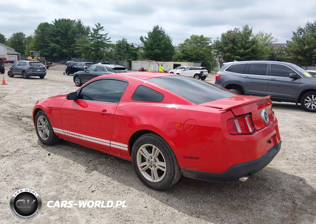 2012 Ford Mustang V6-V6 Premium VIN:1ZVBP8AM3C5206244 - 3