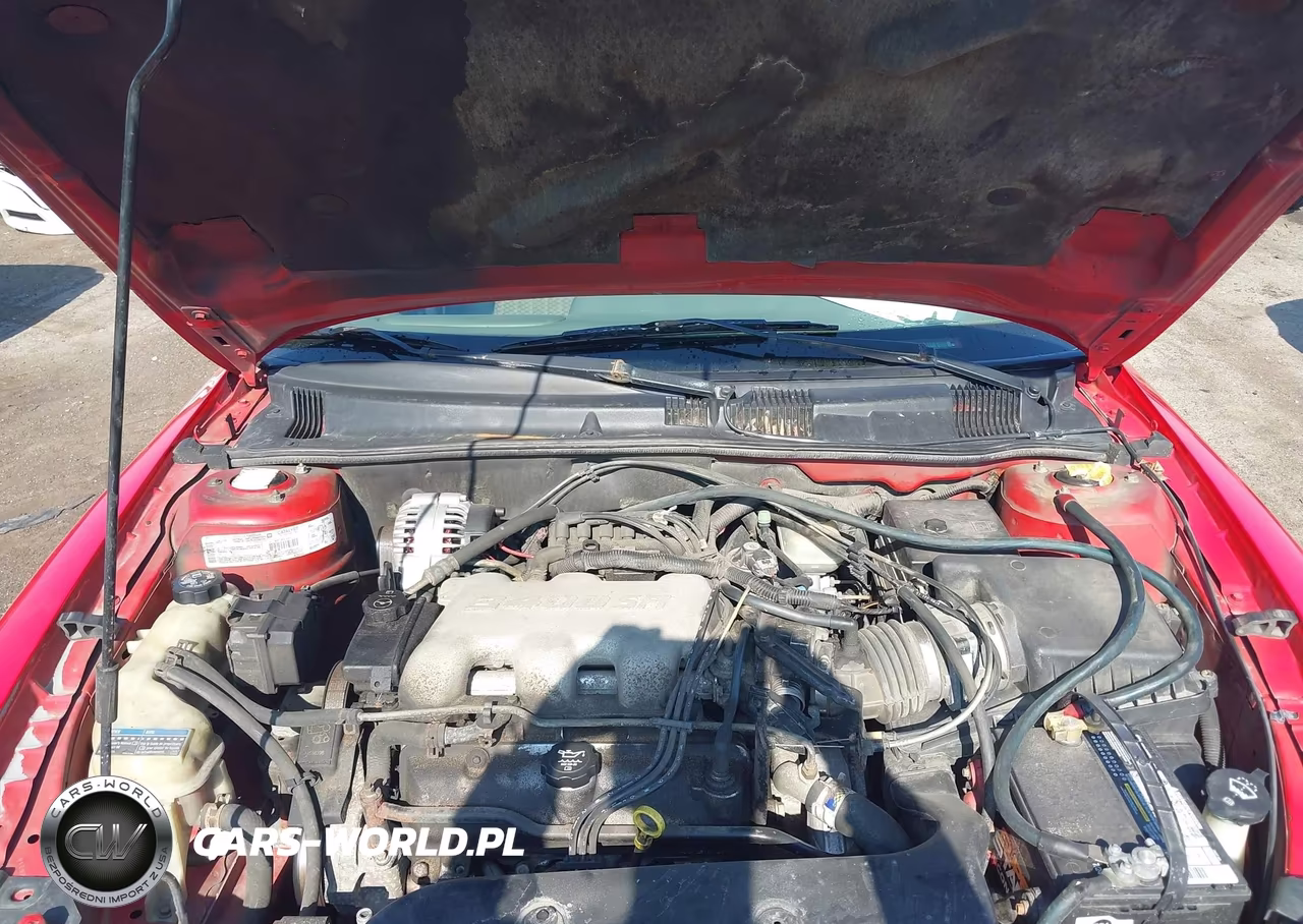2003 Pontiac Grand Am Gt VIN:1G2NW52EX3C323702 - 10