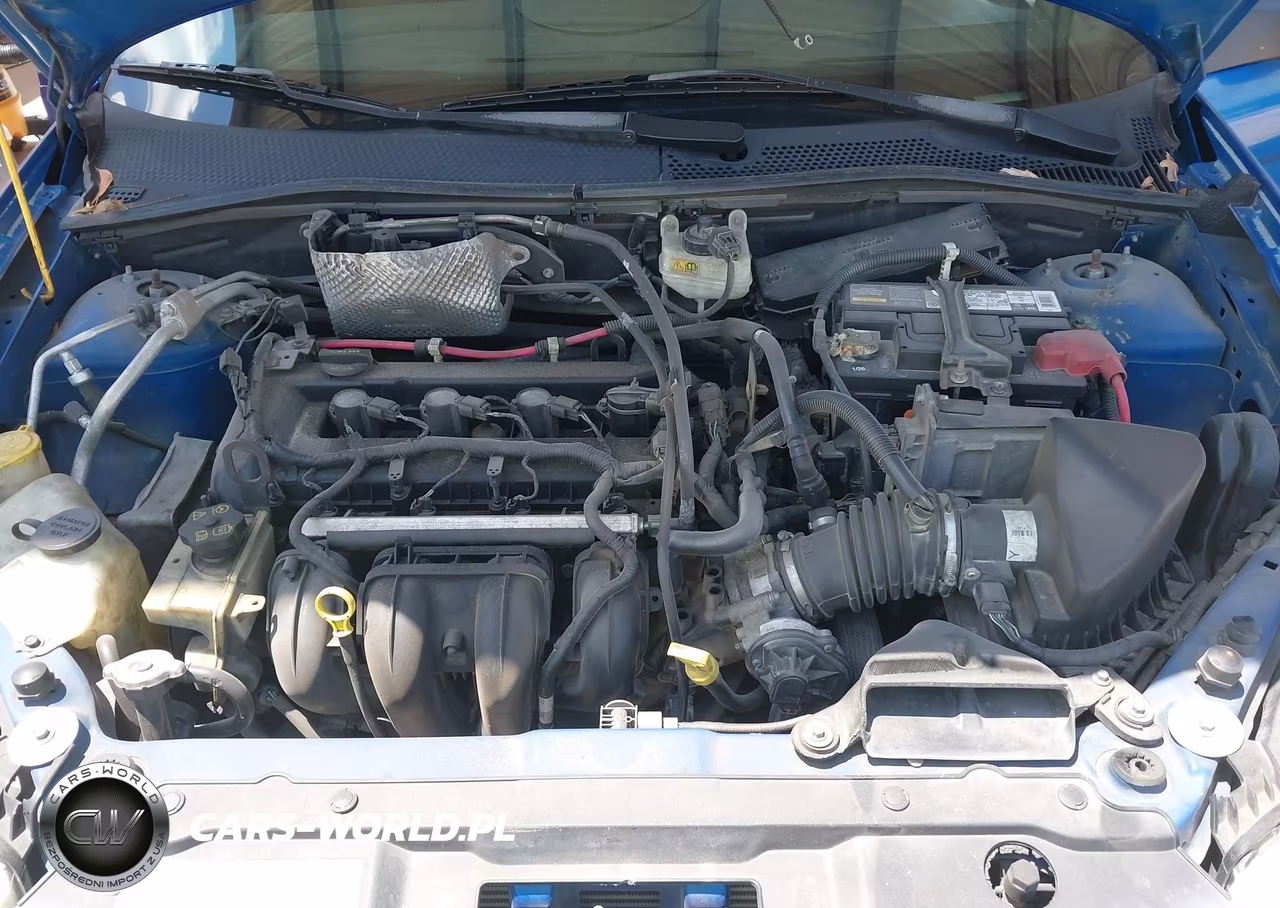 2010 Ford Focus Se VIN:1FAHP3FN3AW111519 - 10