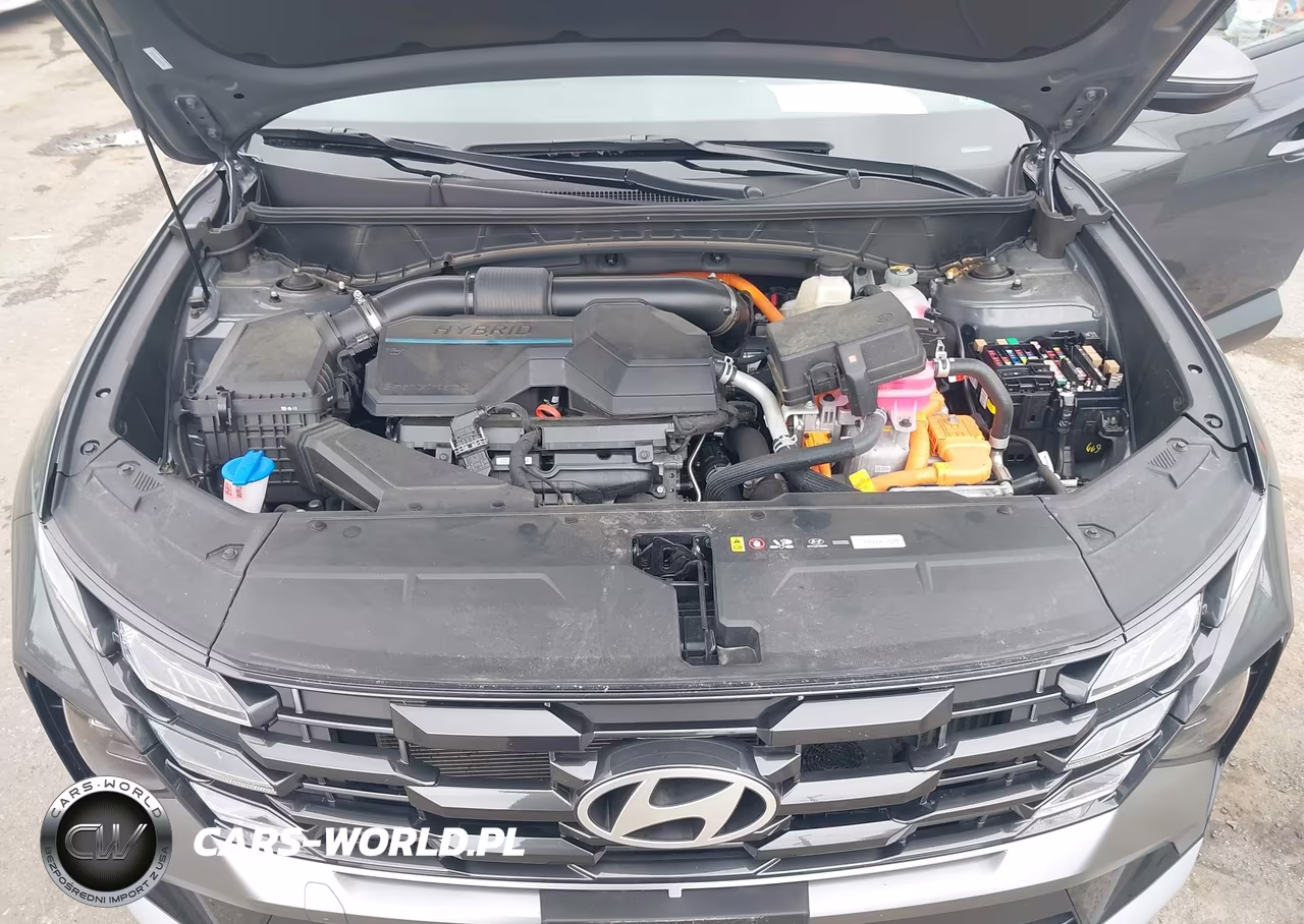 2025 Hyundai Tucson Hybrid Sel Convenience VIN:KM8JCDD15SU341942 - 10