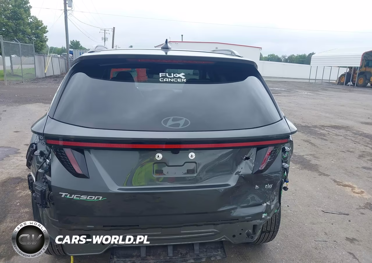 2025 Hyundai Tucson Hybrid Sel Convenience VIN:KM8JCDD15SU341942 - 17