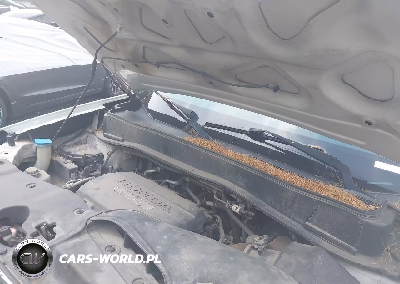 2009 Honda Pilot Ex-L VIN:5FNYF48569B051347 - 10