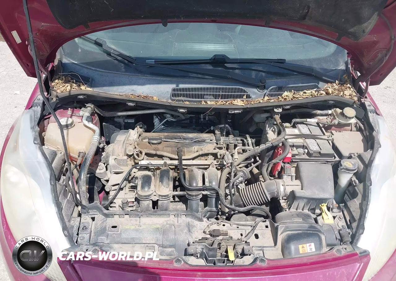 2011 Ford Fiesta Se VIN:3FADP4EJ3BM119446 - 10