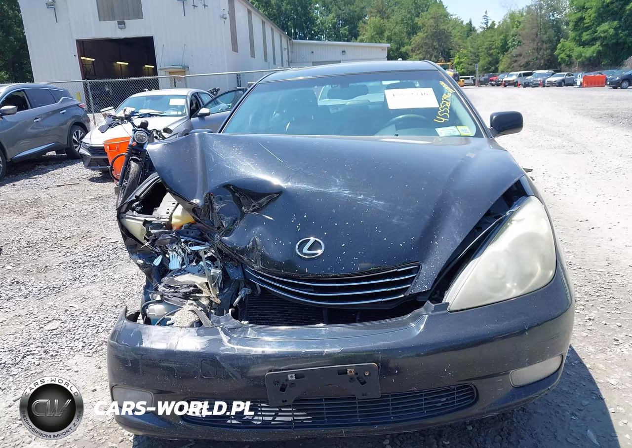 2004 Lexus Es 330 VIN:JTHBA30G245055299 - 12