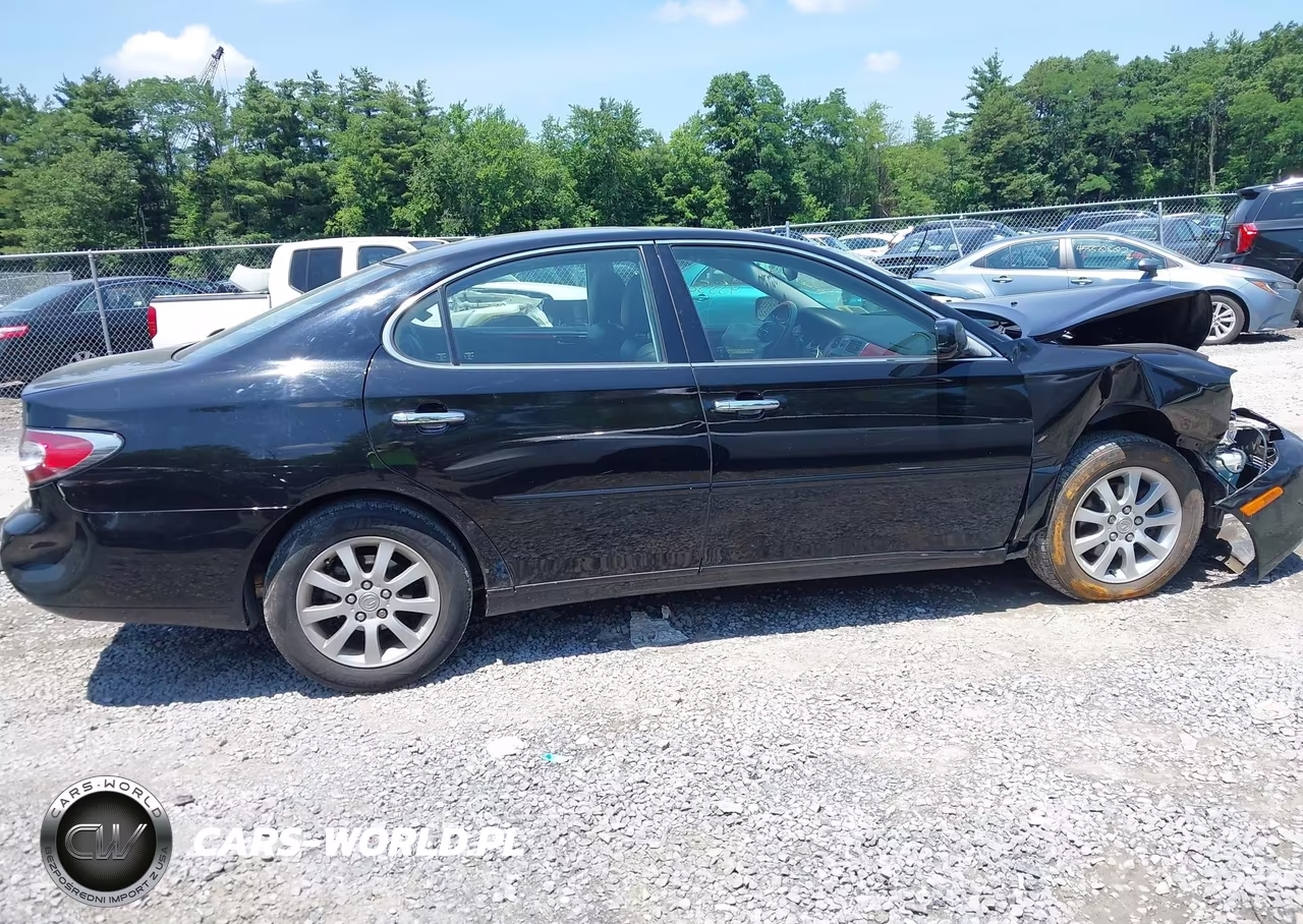 2004 Lexus Es 330 VIN:JTHBA30G245055299 - 13