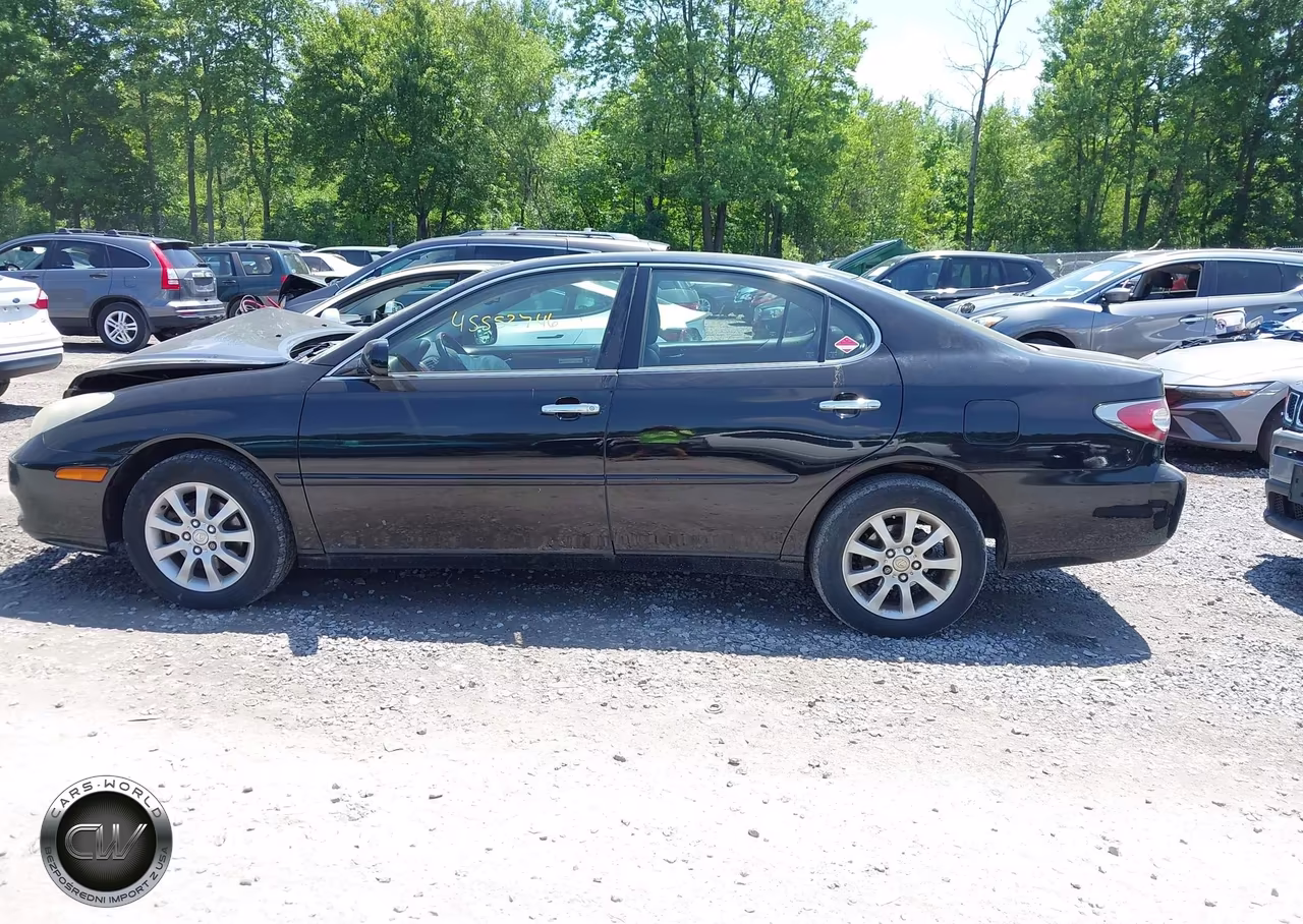 2004 Lexus Es 330 VIN:JTHBA30G245055299 - 14