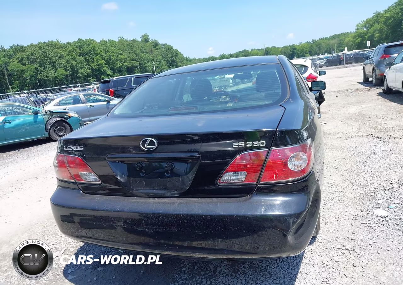 2004 Lexus Es 330 VIN:JTHBA30G245055299 - 16